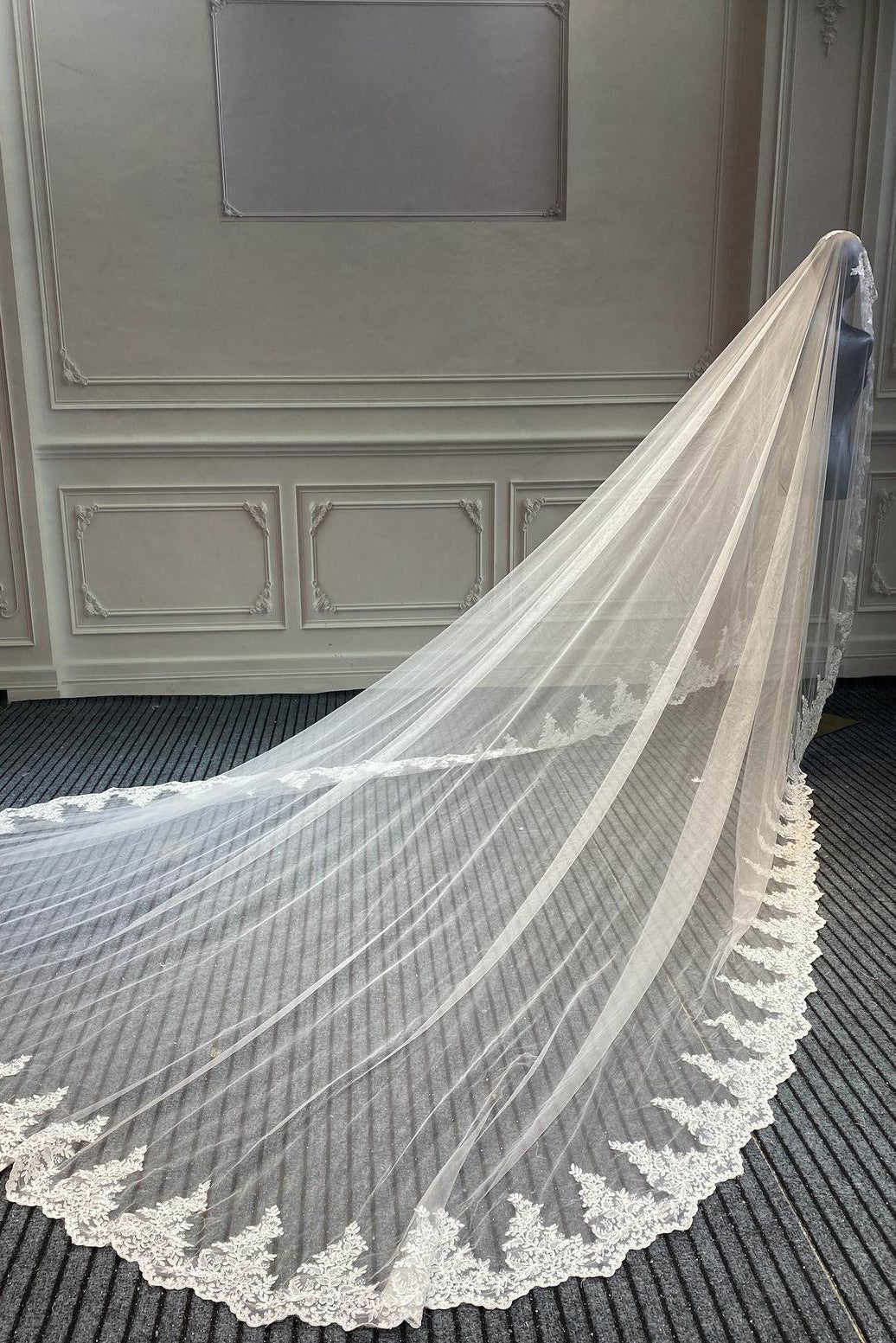 3M Long Veil Lace Appliqued Cathedral Length Wedding Veils Bridal Hair Accessory With Comb Custom Made