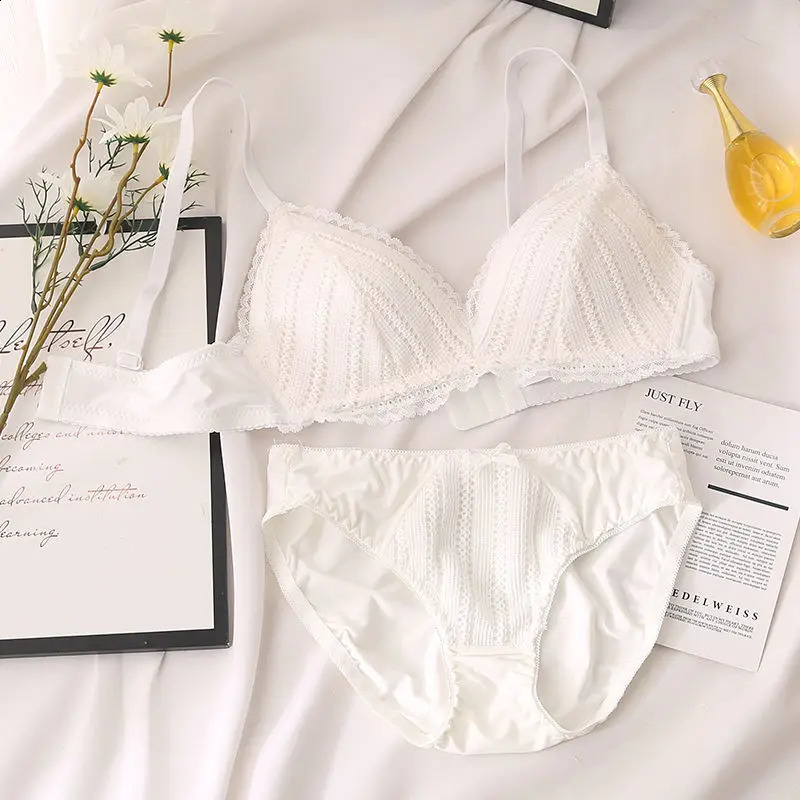 Bra Panty Set Sexy Lace Panties Lingerie Femme Underwear Set Push Up Thin 34 Triangle Cups Bralette Hollow Out Briefs Wholesale 240812