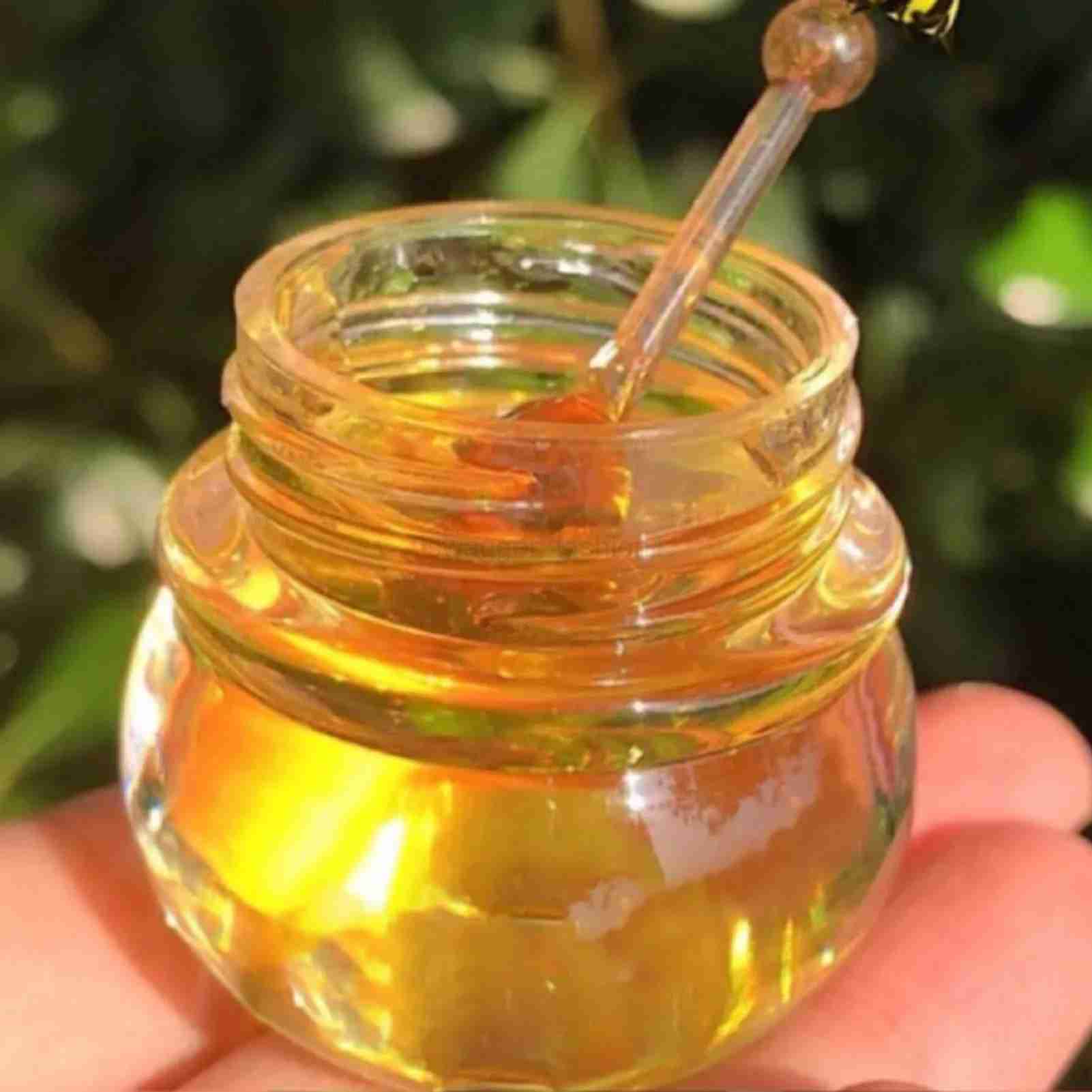 Original Beeswax Lip Balm Organic Honey Overnight Moisturizing Bee Balm Hydrating Lip Butter For Lip Care Gifts Dry Chapped CrXJ240812