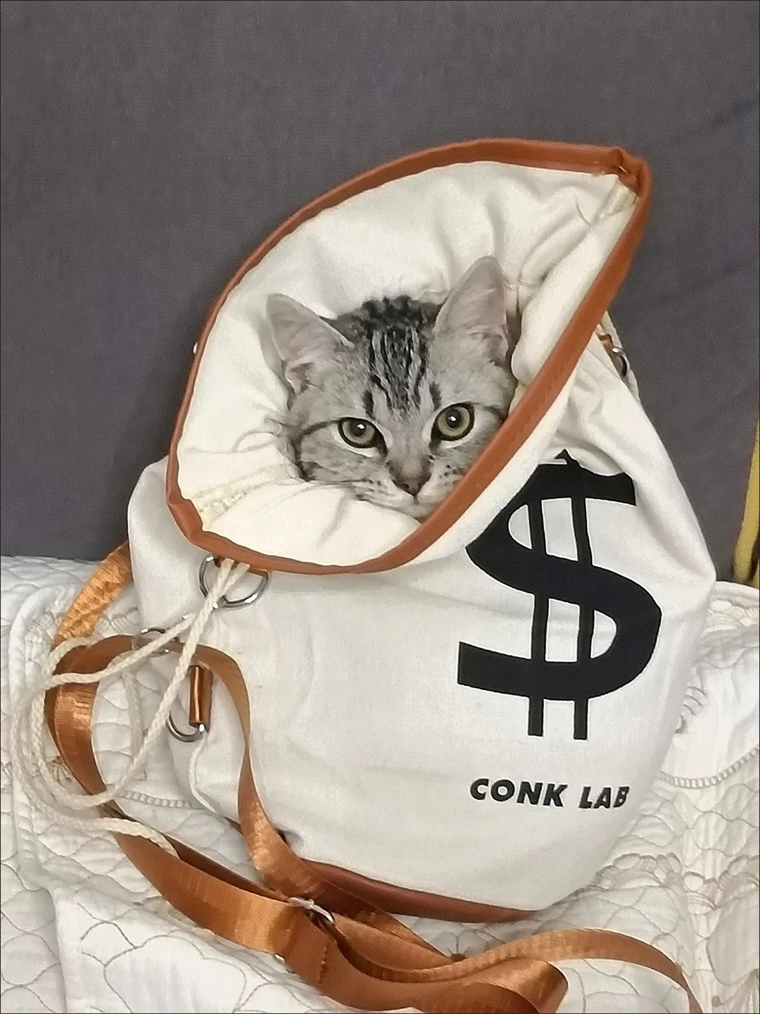 Mens womens Canvas tote bag Causual Crossbody Money Symbol High-capacity Whte Bucket Bags For Traveling Gym Commute Backpack 240812