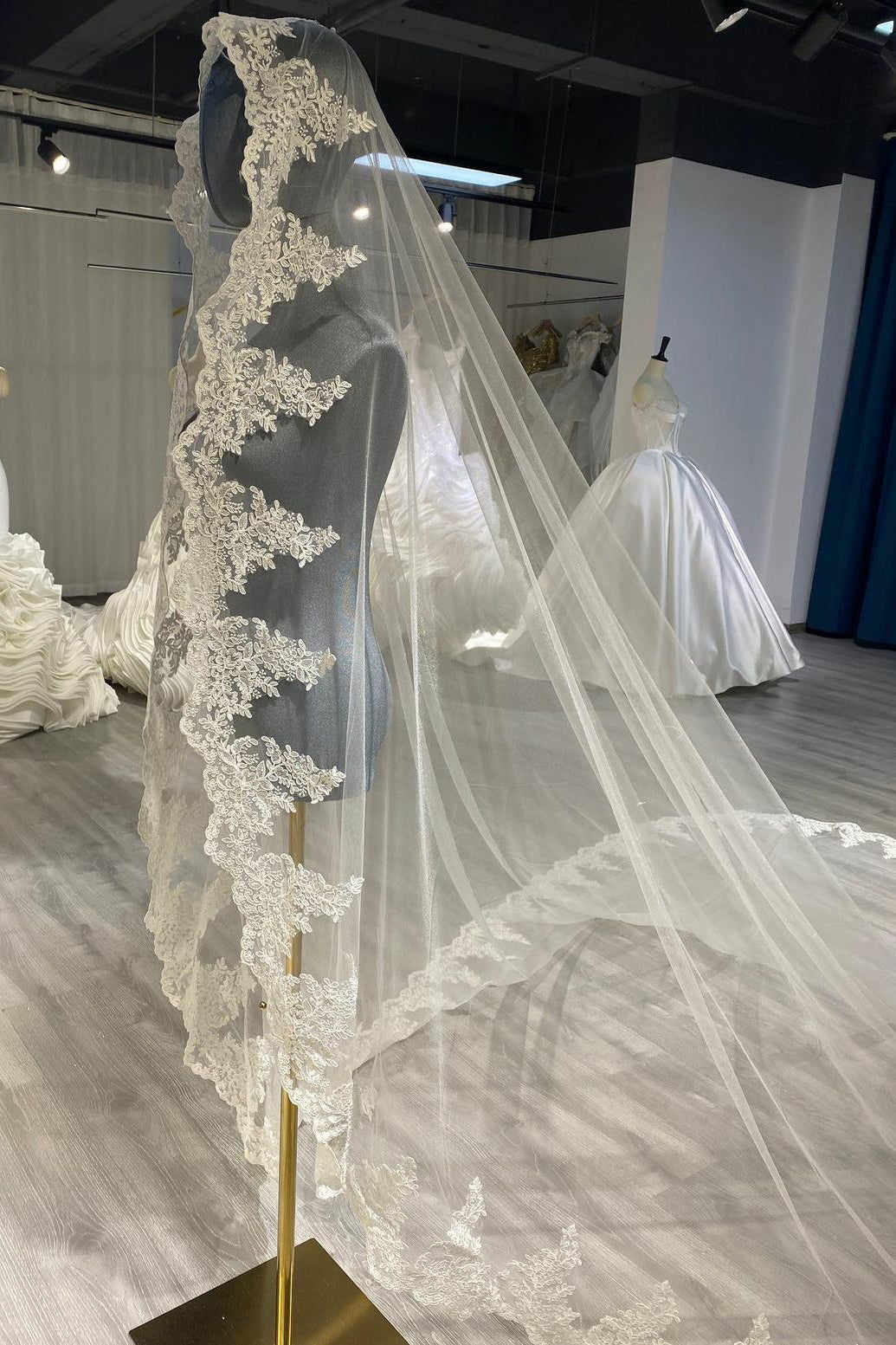 3M Long Veil Lace Appliqued Cathedral Length Wedding Veils Bridal Hair Accessory With Comb Custom Made