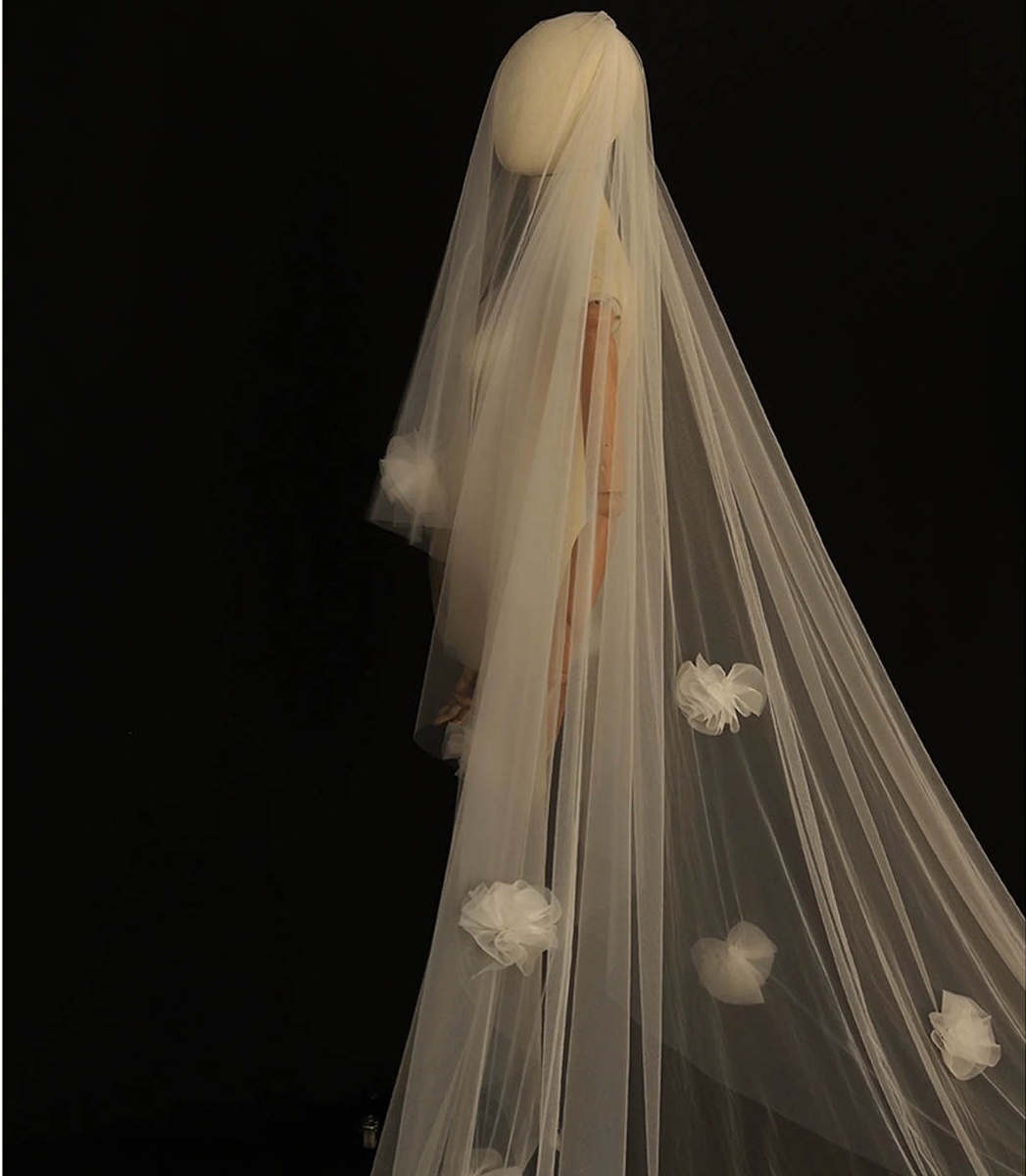 Modern Wedding Veil Two Layer Long Blusher Cathedral Veils Appliques Edge Handmade Flowers Tulle Custom Made Bridal Accessories