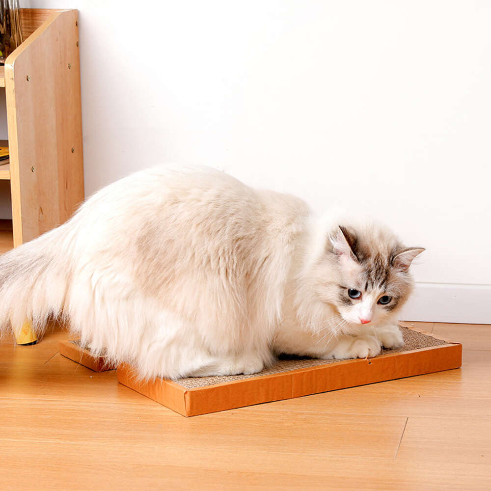 Cat sisal board, mouse bait, corrugated paper, paw grinding, scratch pad, cat teasing toy