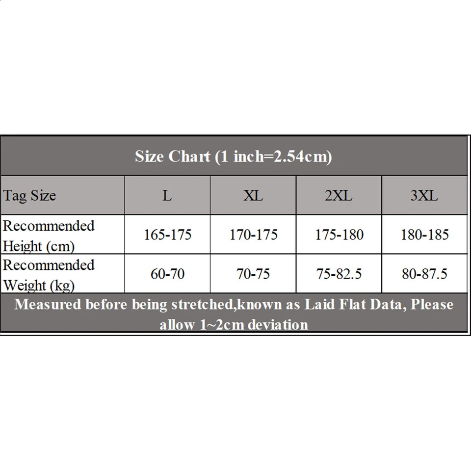 Casual Mens Long Sleeves Muscle V Neck Slim T-Shirt Solid Color Activewear Tops Tee Undershirt T Shirt Man Clothing 240812