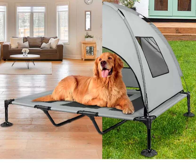 Cooling Elevated Pet Solid Pattern Outdoor Plastic Dog Bed with Shade for Home Use