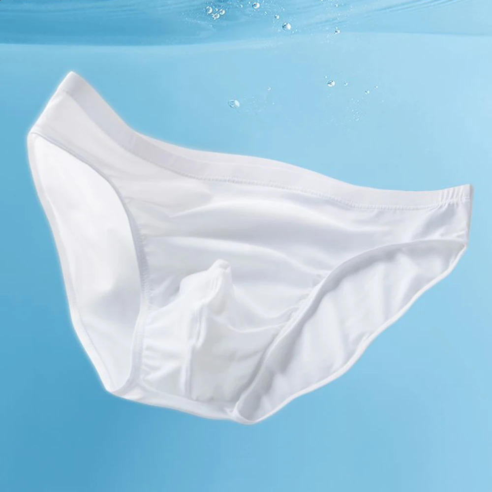 2pcs Pouch Nylon Men Underwear Briefs Ice Silk Male Seamless Underpants Low-Waist Thin Panties Plus Size 240812