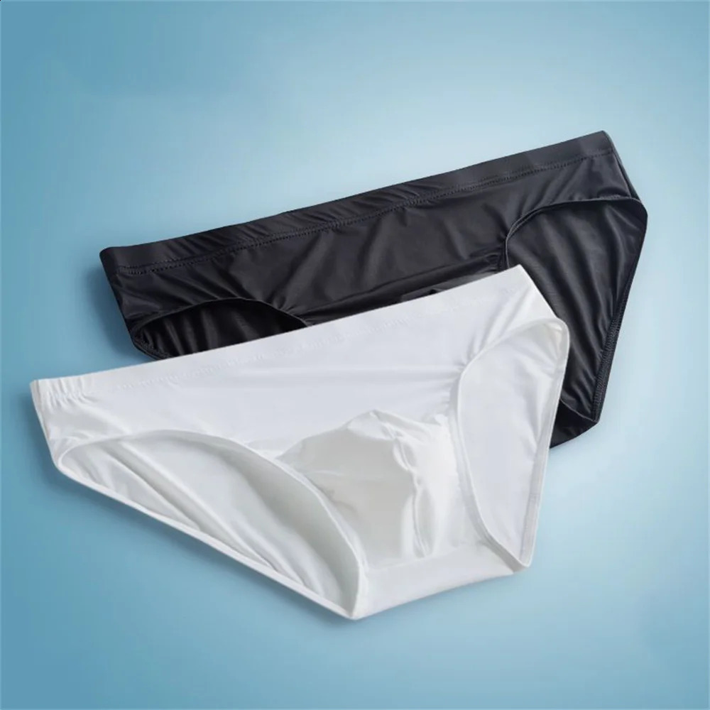2pcs Pouch Nylon Men Underwear Briefs Ice Silk Male Seamless Underpants Low-Waist Thin Panties Plus Size 240812