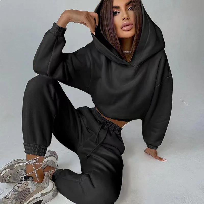 Tracksuits Womens Warm Hoodie and Pants Set Oversized Sportwear Tracksuit Set Autumn Winter Suits On Fleece For Women y2k 240813 - view 4
