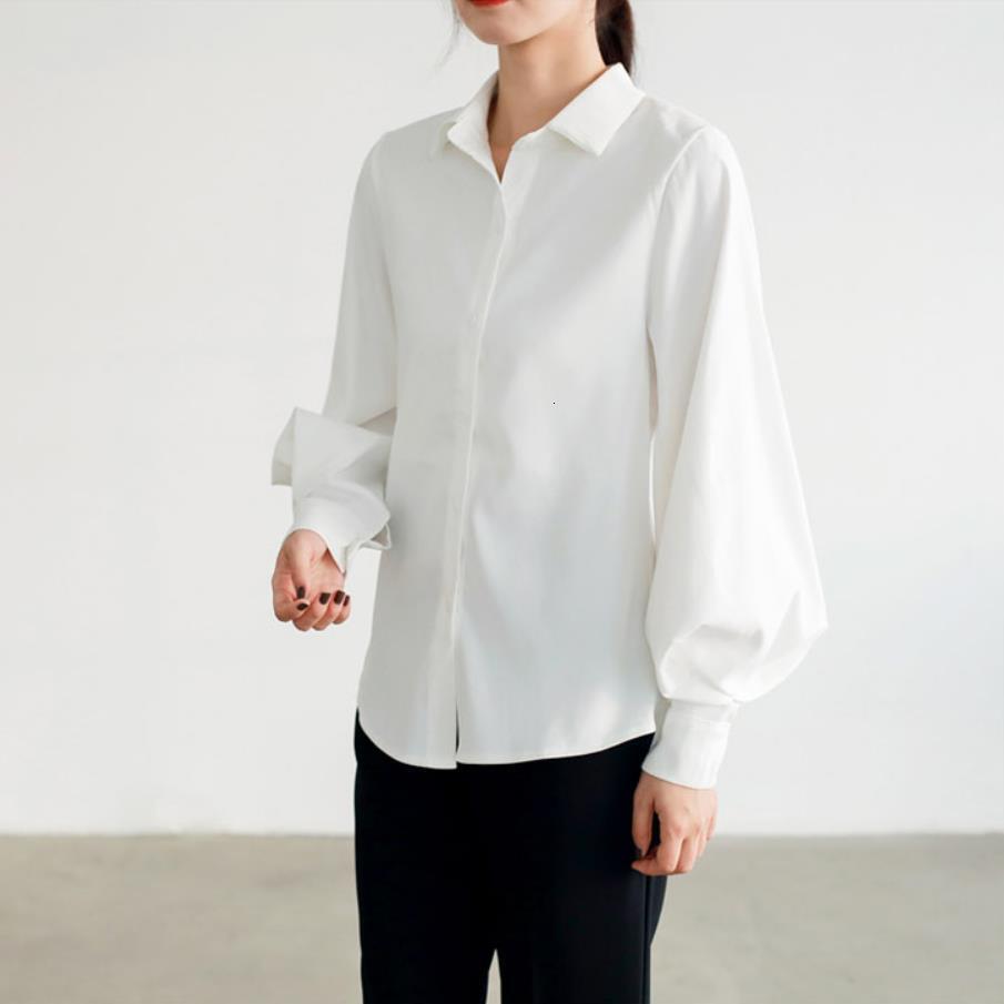 Women blouse vintage Turn-down Collar Spring Autumn Lantern