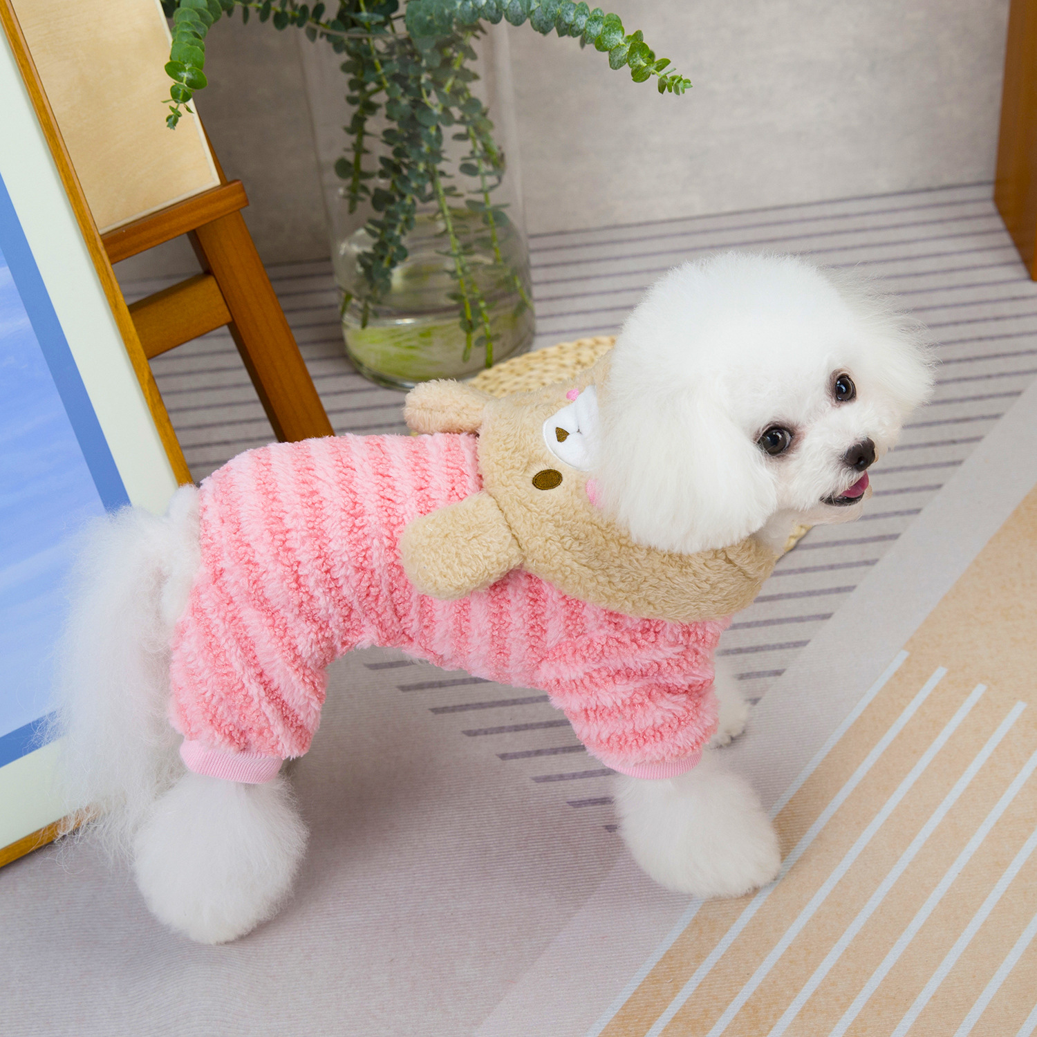 New Pet Clothing Autumn/Winter Cat Sweater New Dog Warm Double-sided Fleece Rainbow Bear Striped Fleece