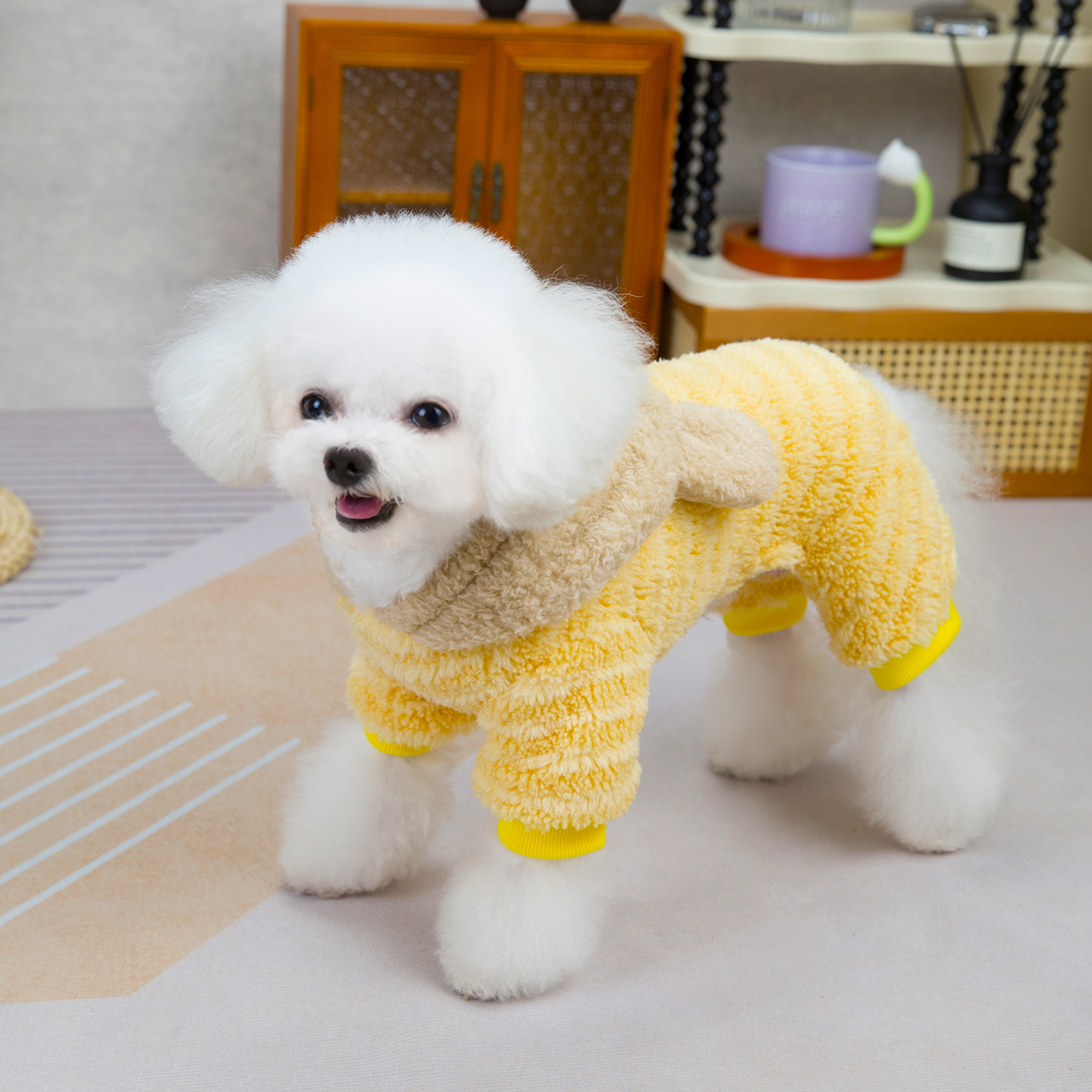 New Pet Clothing Autumn/Winter Cat Sweater New Dog Warm Double-sided Fleece Rainbow Bear Striped Fleece