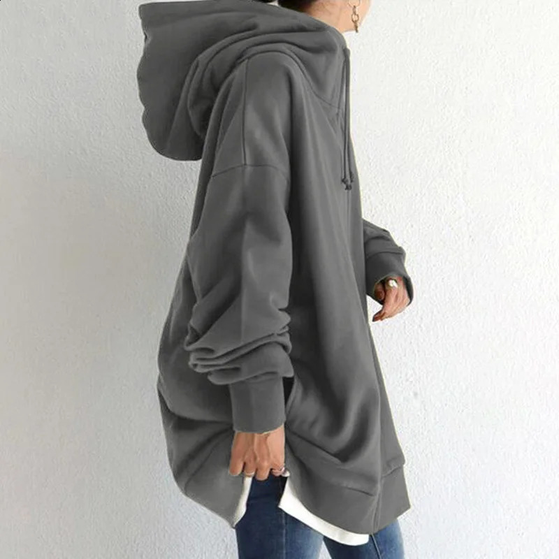 Fashion Zipper Long Sweatshirt Women Autumn Winter Loose Hooded Jackets Harajuku Streetwear Casual Fleece Hoodies Female Jacket 240812