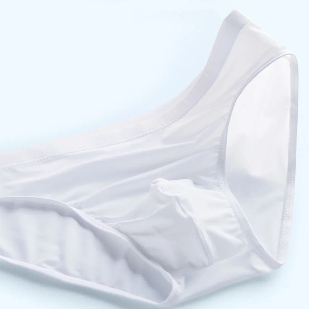 2pcs Pouch Nylon Men Underwear Briefs Ice Silk Male Seamless Underpants Low-Waist Thin Panties Plus Size 240812