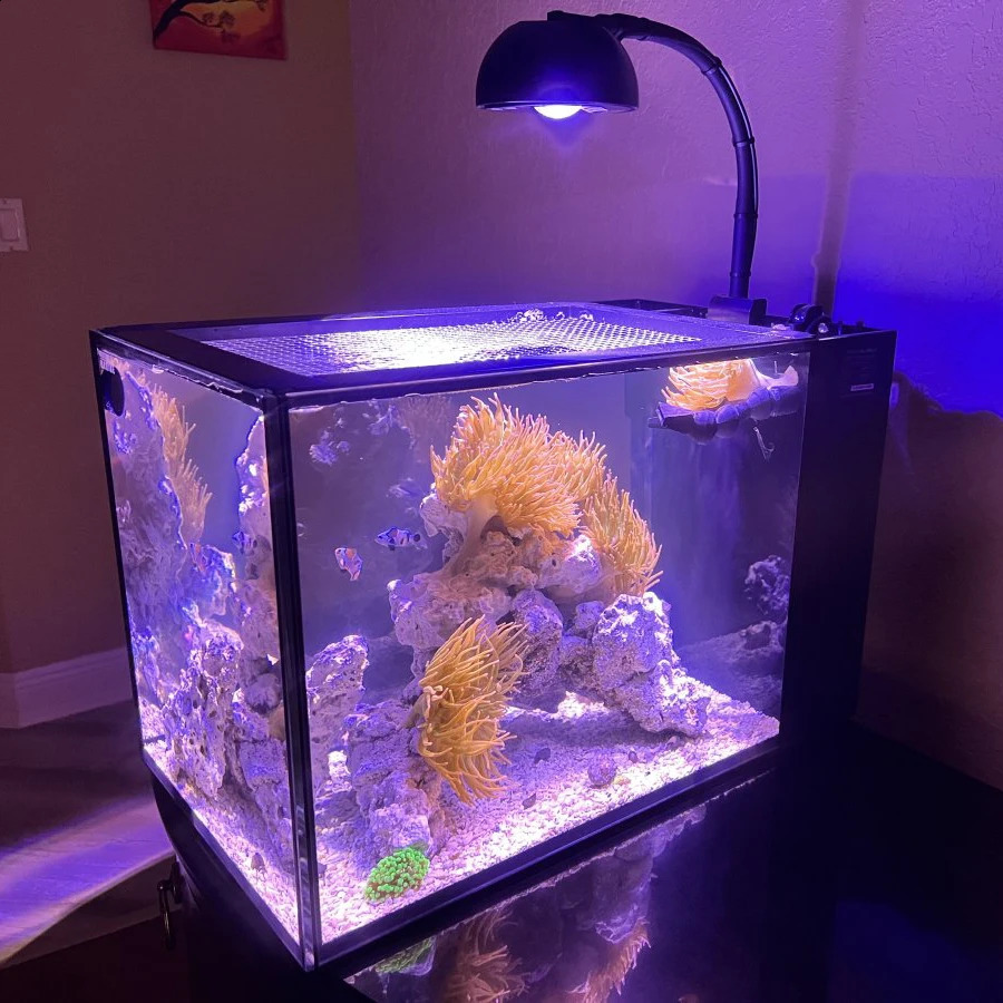 Noopsyche NP K7 Mini 60W WiFi APP Control Saltwater Marine LED Aquarium Light for Nano Coral Reef Tank 240812