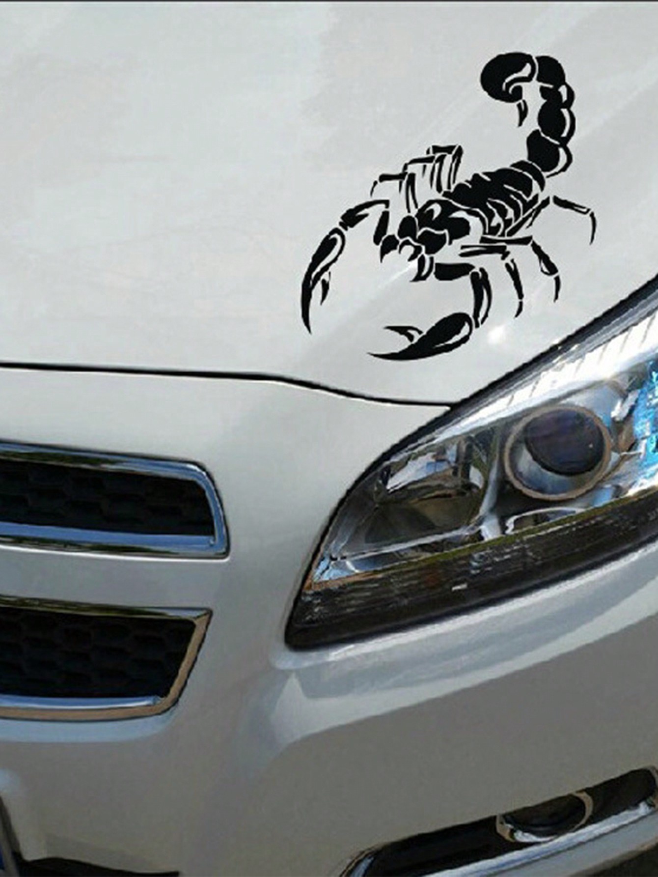 Large car stickers personalized car body stickers reflective film engraved Scorpion King door hood stickers