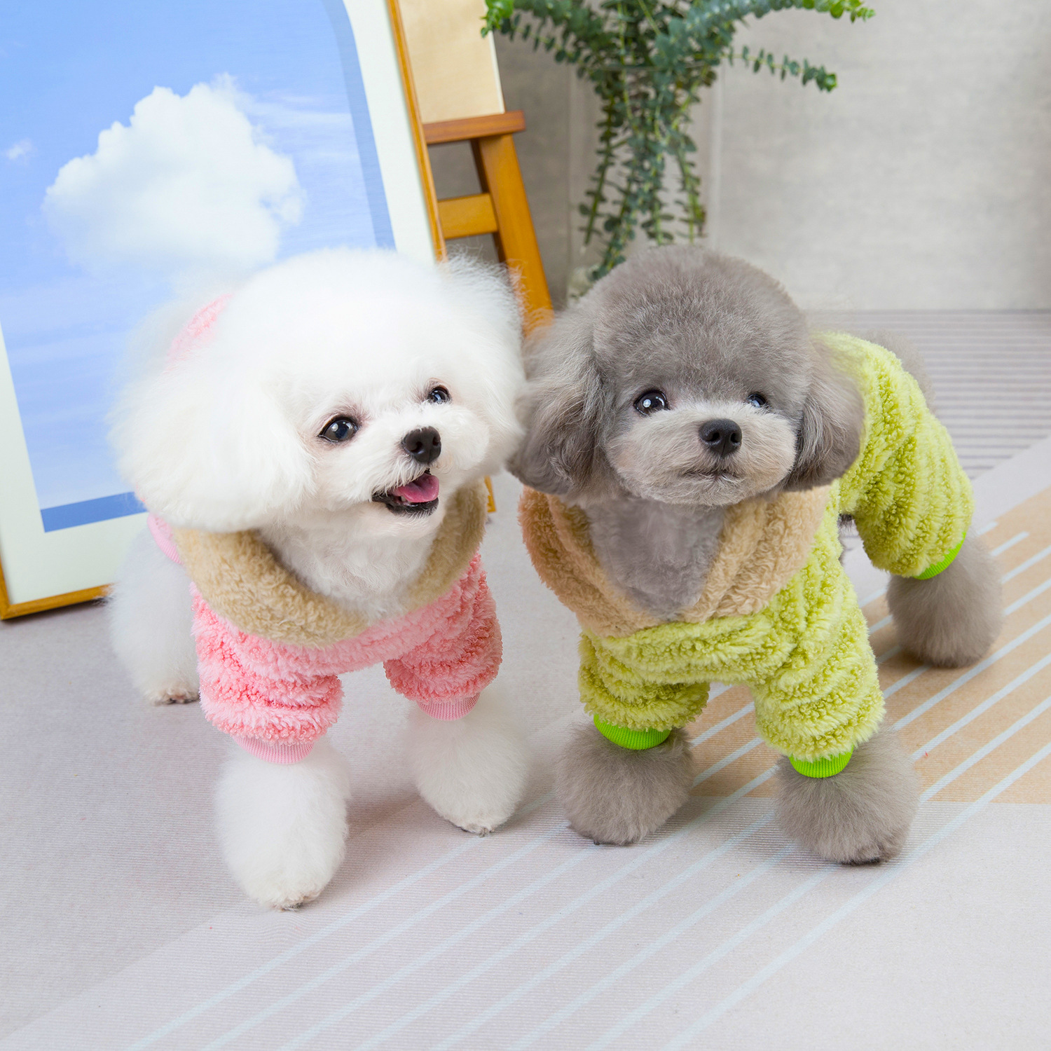 New Pet Clothing Autumn/Winter Cat Sweater New Dog Warm Double-sided Fleece Rainbow Bear Striped Fleece
