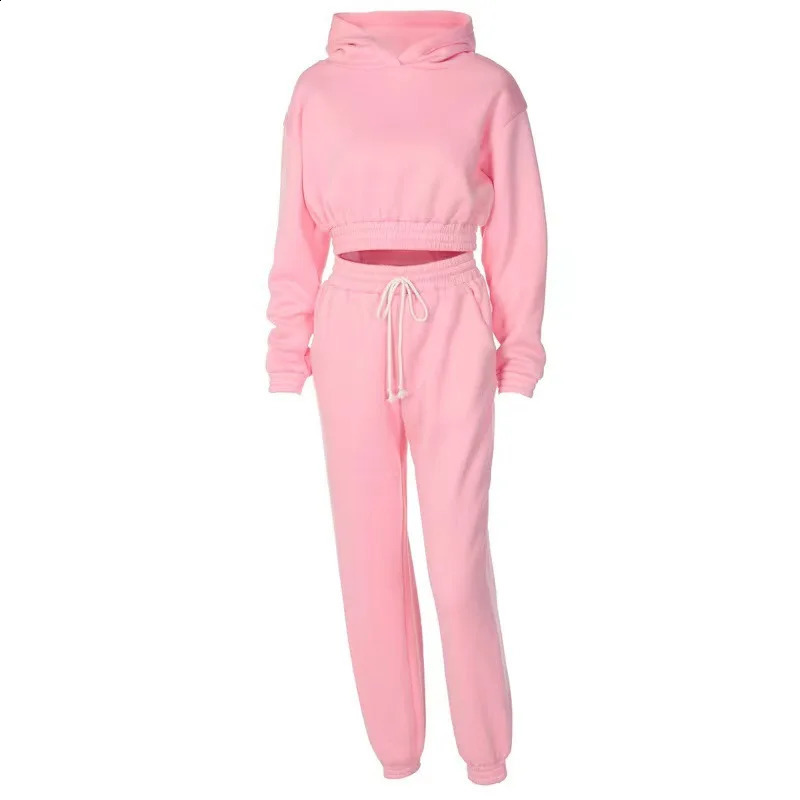Tracksuits Womens Warm Hoodie and Pants Set Oversized Sportwear Tracksuit Set Autumn Winter Suits On Fleece For Women y2k 240813 - view 7