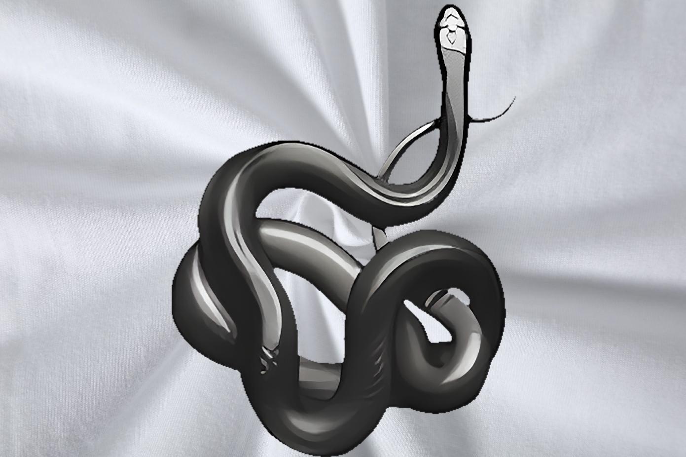 Loose Tshirts Casual Beach 230g 100% Cotton Graphic Crew Neck Breathable snake Man T Shirts Free Shipping Clothings