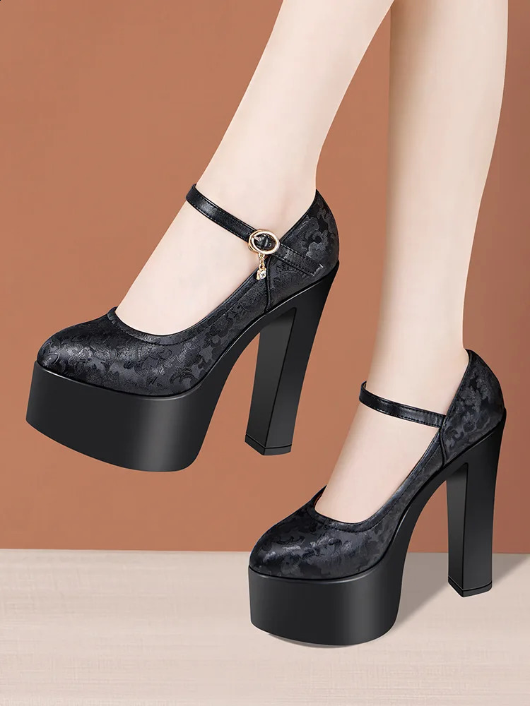 15cm Small Size 32-43 Sexy Embroider Chunky Platform Shoes Women Pumps Fall Block High Heels Shoes for Model Party Show 240814