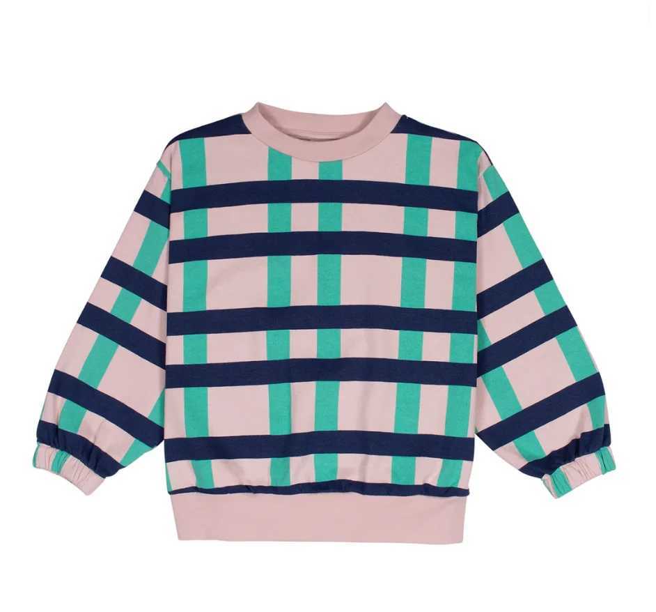 Korean Childrens Clothes Sweatshirts Pants 2024 Fall Winter Child Boys Girls Hooded Sweater Sweatpants Childrens Clothings TopY240814