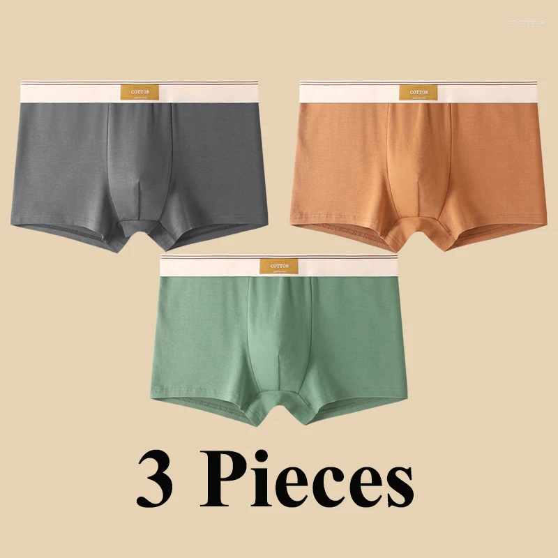 Underpants D.Nale K 3pcs Men Underwear Boxer Shorts Hombre Cotton Panties Man Breathable Sexy Sports Male Comfort Boxers Large