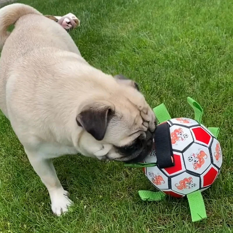 Dog football toys resistant to grinding teeth chew dog toys pet interactive toys 240812