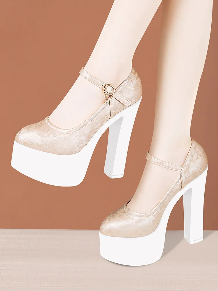 15cm Small Size 32-43 Sexy Embroider Chunky Platform Shoes Women Pumps Fall Block High Heels Shoes for Model Party Show 240814