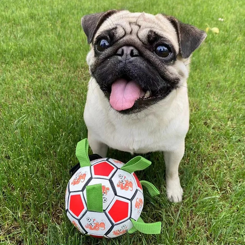 Dog football toys resistant to grinding teeth chew dog toys pet interactive toys 240812