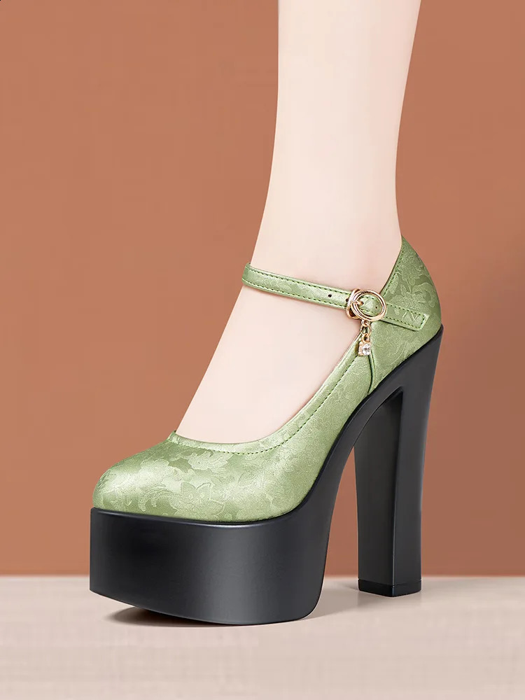 15cm Small Size 32-43 Sexy Embroider Chunky Platform Shoes Women Pumps Fall Block High Heels Shoes for Model Party Show 240814