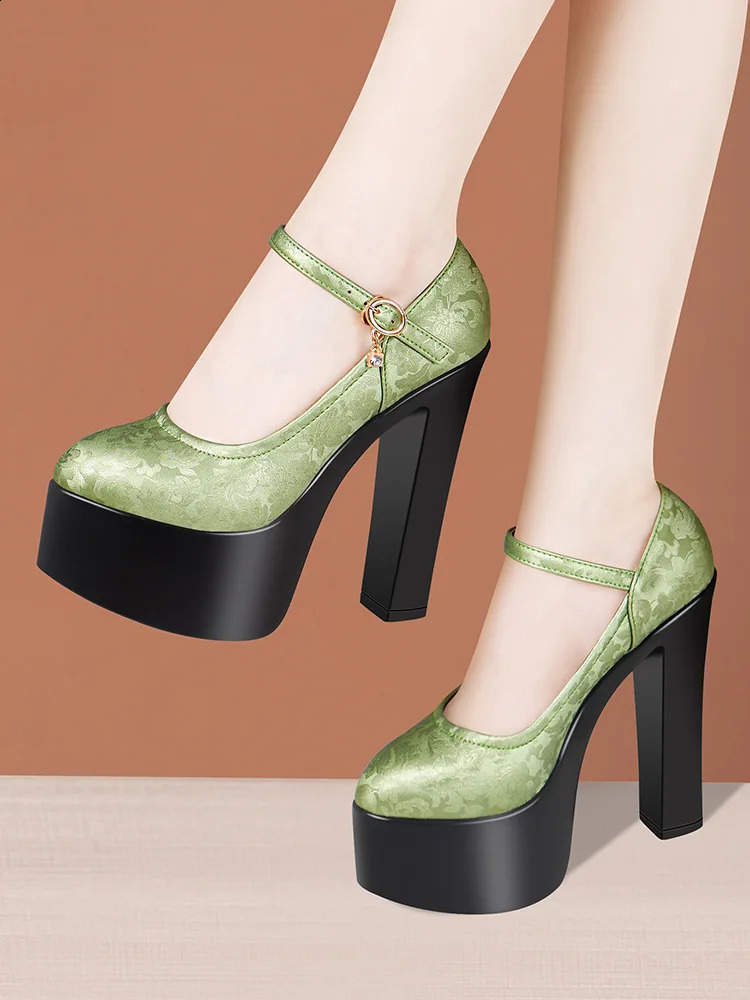 15cm Small Size 32-43 Sexy Embroider Chunky Platform Shoes Women Pumps Fall Block High Heels Shoes for Model Party Show 240814
