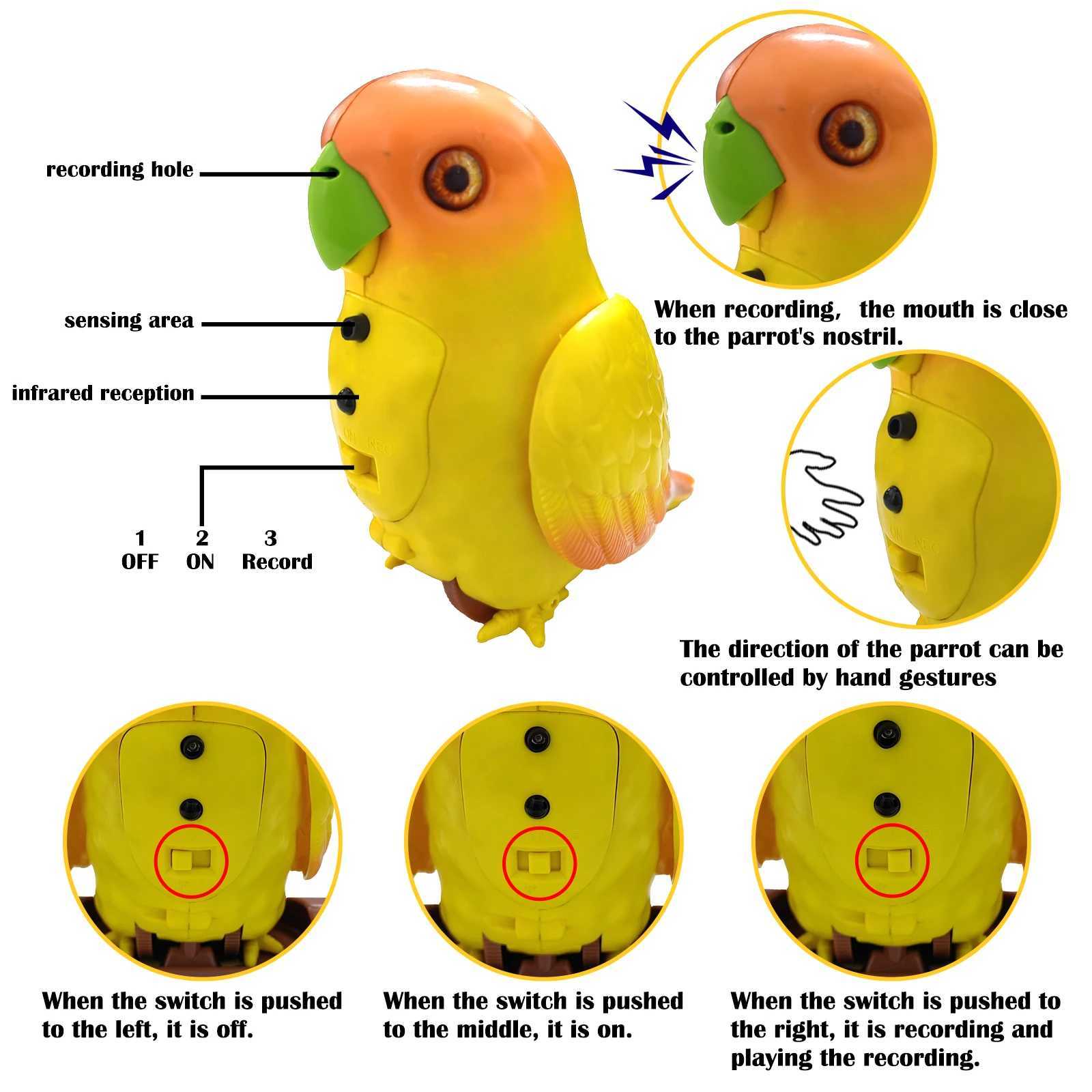 Electronic Bird Sound Parrot Aniamal Pet Toy for Toddler Childrens Electric Talking Singing Sound Making Toys Gift for Kids Y240814