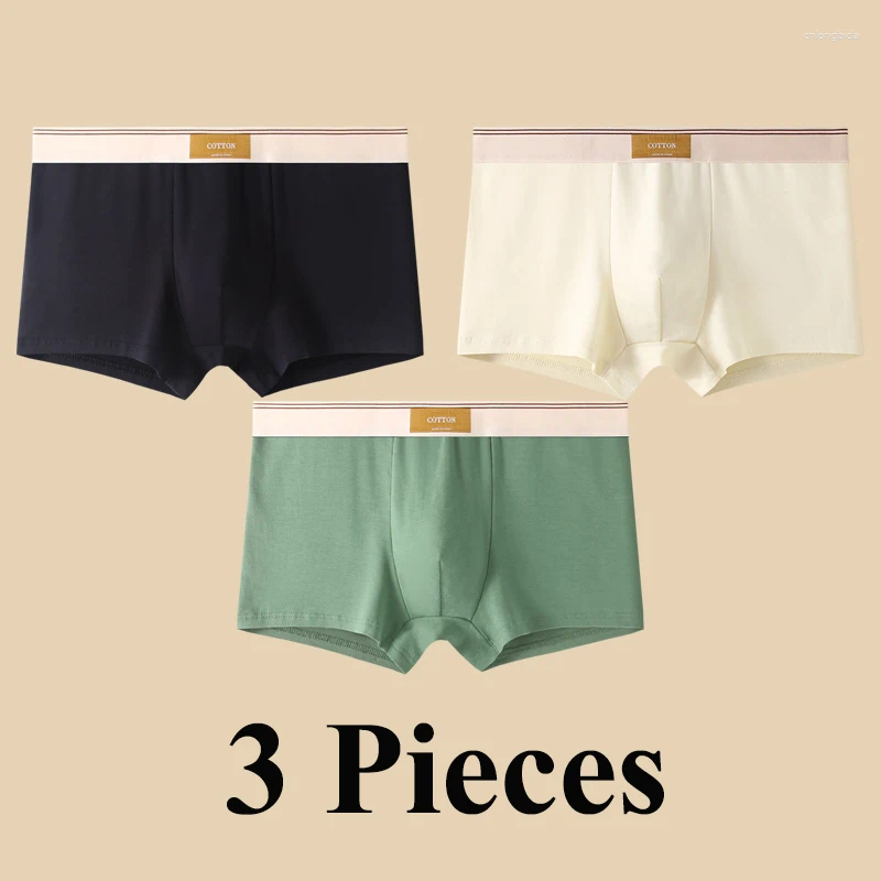Underpants D.Nale K 3pcs Men Underwear Boxer Shorts Hombre Cotton Panties Man Breathable Sexy Sports Male Comfort Boxers Large