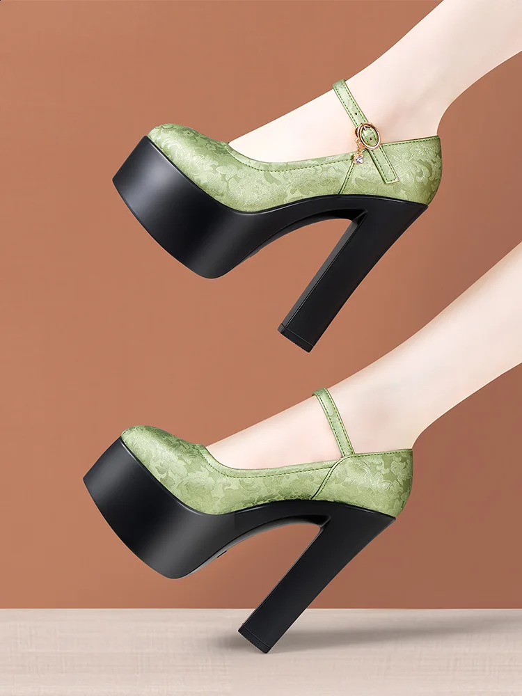 15cm Small Size 32-43 Sexy Embroider Chunky Platform Shoes Women Pumps Fall Block High Heels Shoes for Model Party Show 240814
