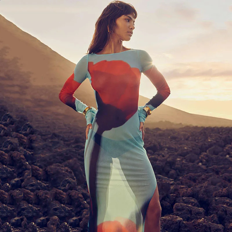 Y2K Sexy Club Sheer Bodycone Side Slit Women Long Sleeve Mesh Midi Blue O-neck Floral Print Dress Outfit 240814