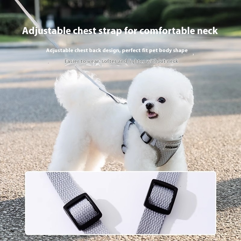 Versatile Insert Leash Cats and Dogs - Lightweight Breathable Chest Harness for Outdoor Use