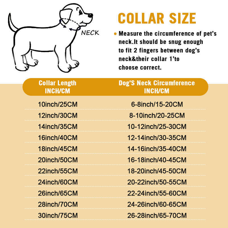 Gold Dog Chain, Stainless Steel Dog Collar Choker, Luxury Designer, Walking And Traning Metal Necklace For Small And Medium Dogs Zozostore