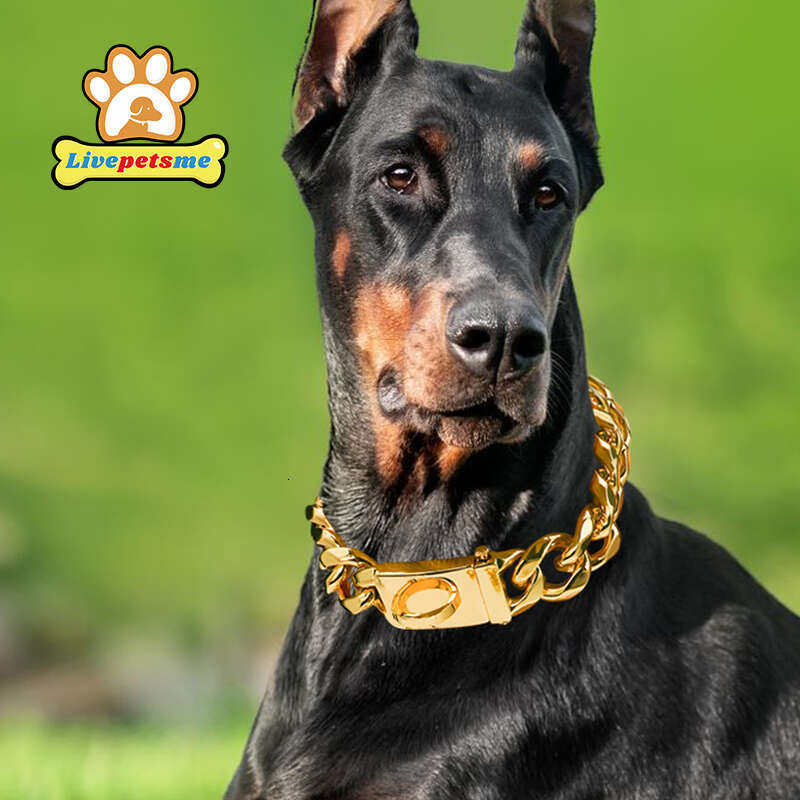 Stainless Steel Dog Collar Choker, Solid Buckle Metal Cuban Link Chain, Luxury Pets Necklace For Dog Walking, Heavy Duty Zozostore