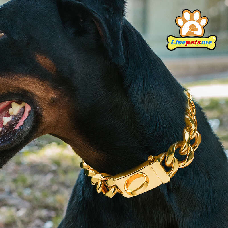 Heavy Duty Gold Dog Collar With Solid Buckle, 304 Stainless Steel Cuban Link Chain, Luxury Metal Pets Walking Collar, Choker Zozostore
