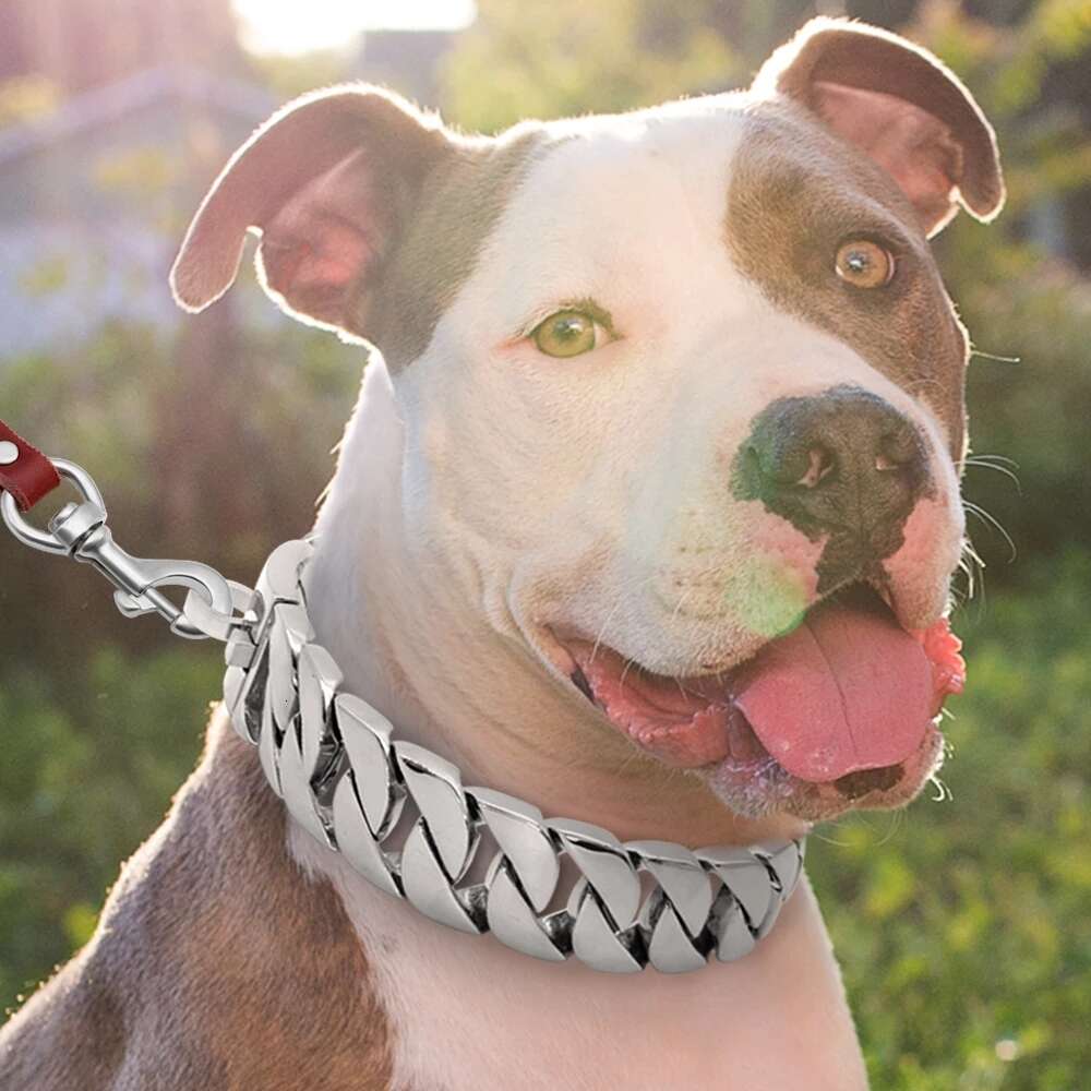 Strong Metal Dog Chain Collars Stainless Steel Pet Training Choke Collar For Large Dogs Pitbull Bulldog Silver Gold Show Collar Zozostore