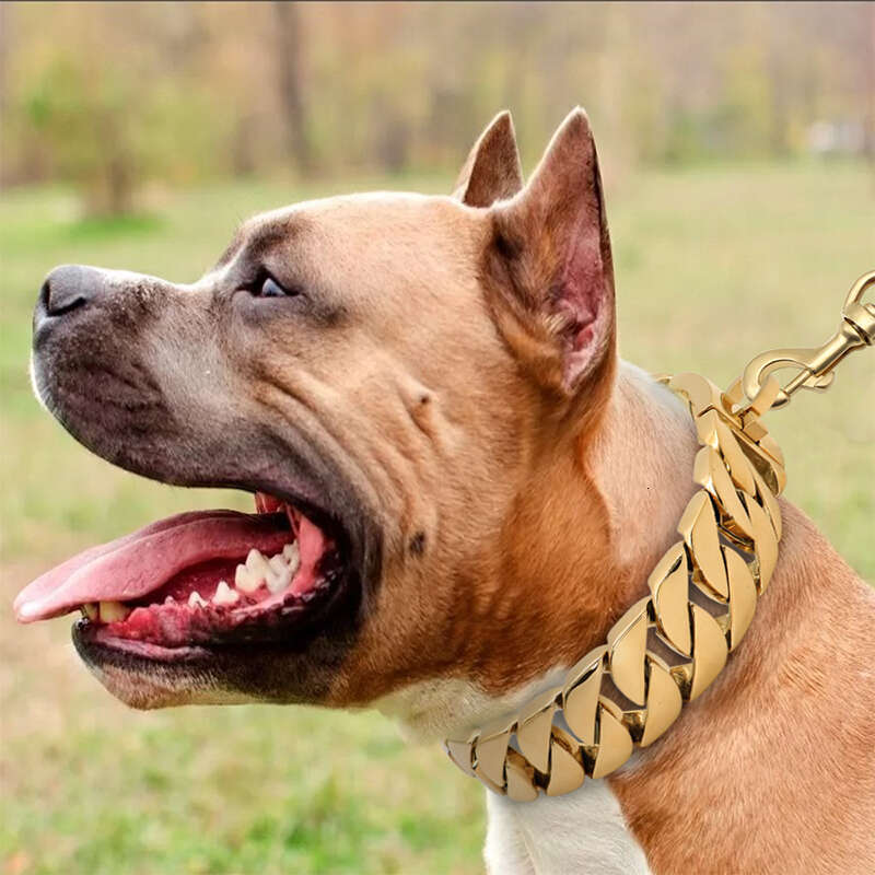 32Mm Wide Strong Metal Dog Chain Collars Stainless Steel Dog Choker Pitbull Gold Dog Necklace For Large Dogs Zozostore