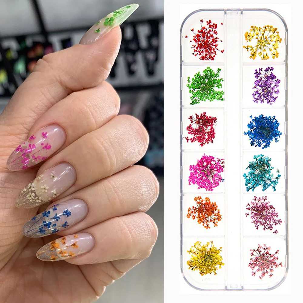 12Grid-3D Dried Flower For Nail Charms Natural Floral Sticker Mix Dry Flower DIY Colorful Decals UV Gel Polish Nail Art ManicureXJ240814