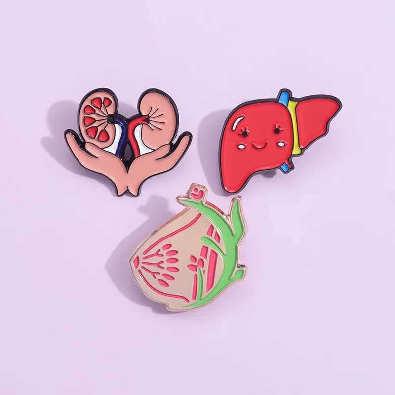 Cute healthy liver organ enamel pin mucous membrane kidney chest brooch lapel bag metal badge jewelry gift wholesale doctor nurse W240815