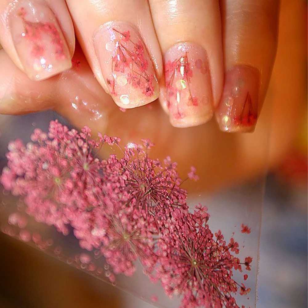 12Grid-3D Dried Flower For Nail Charms Natural Floral Sticker Mix Dry Flower DIY Colorful Decals UV Gel Polish Nail Art ManicureXJ240814