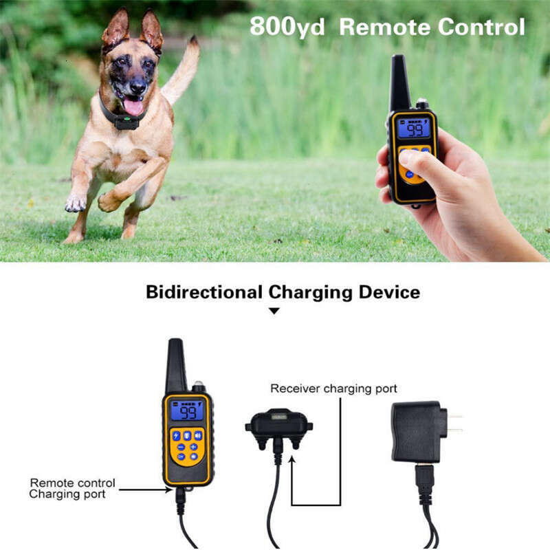 Training Collar Dog 800M Anti Bark Dog Collar Waterproof With Pet Rechargeable Pet Remote Control Electric Collar For Dogs Zozostore