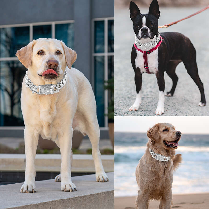 Jewelry Gold Dog Chain Cuban Collar With Secure Buckle For Small Medium And Large Dogs 20Mm Pets Collars Necklace With Diamond Zozostore