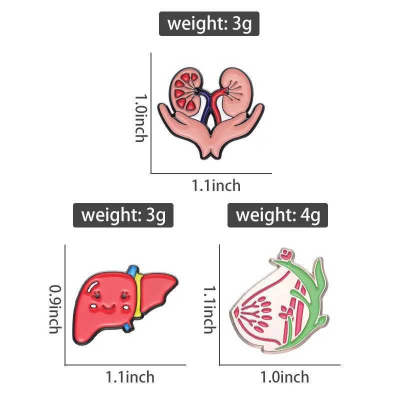 Cute healthy liver organ enamel pin mucous membrane kidney chest brooch lapel bag metal badge jewelry gift wholesale doctor nurse W240815
