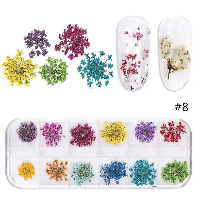 12Grid-3D Dried Flower For Nail Charms Natural Floral Sticker Mix Dry Flower DIY Colorful Decals UV Gel Polish Nail Art ManicureXJ240814