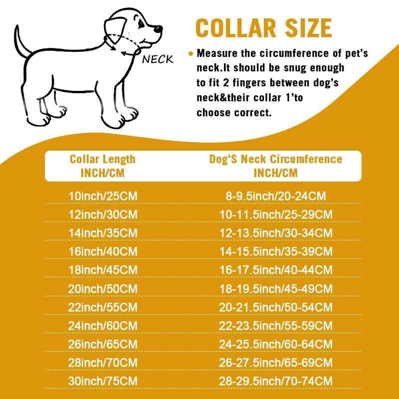 Strong Metal Dog Chain Collars Stainless Steel Pet Training Choke Collar For Large Dogs Pitbull Bulldog Silver Gold Show Collar Zozostore