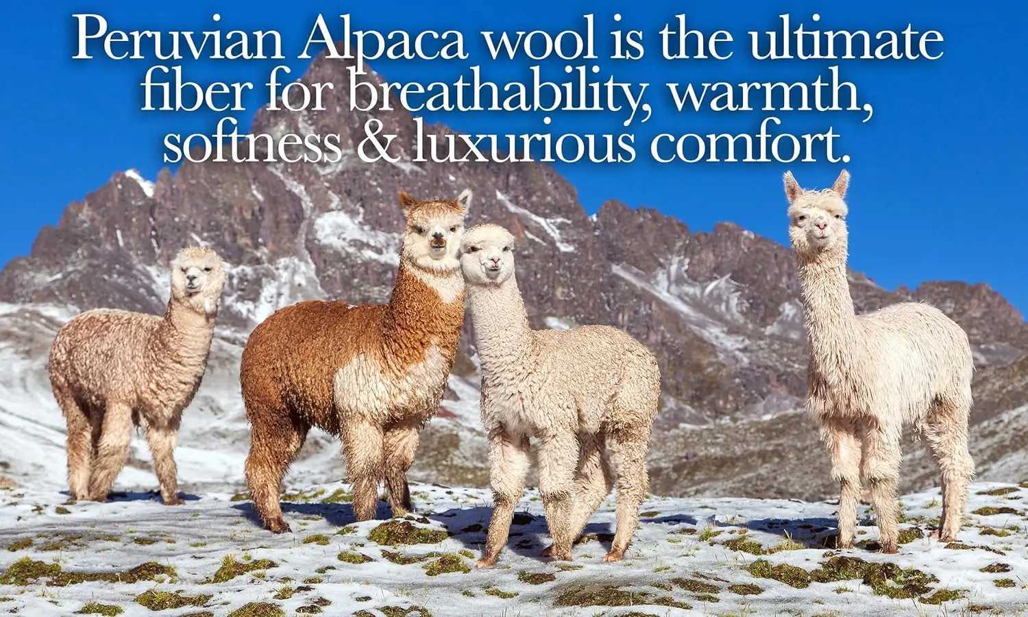 Y100% Natural Alpaca and Merino Wool Blanket Andean Collection - Thick Soft and Warm Rustic Woven Blanket Y240815