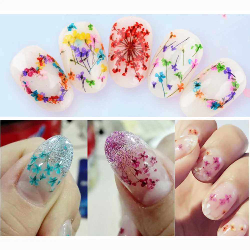 12Grid-3D Dried Flower For Nail Charms Natural Floral Sticker Mix Dry Flower DIY Colorful Decals UV Gel Polish Nail Art ManicureXJ240814